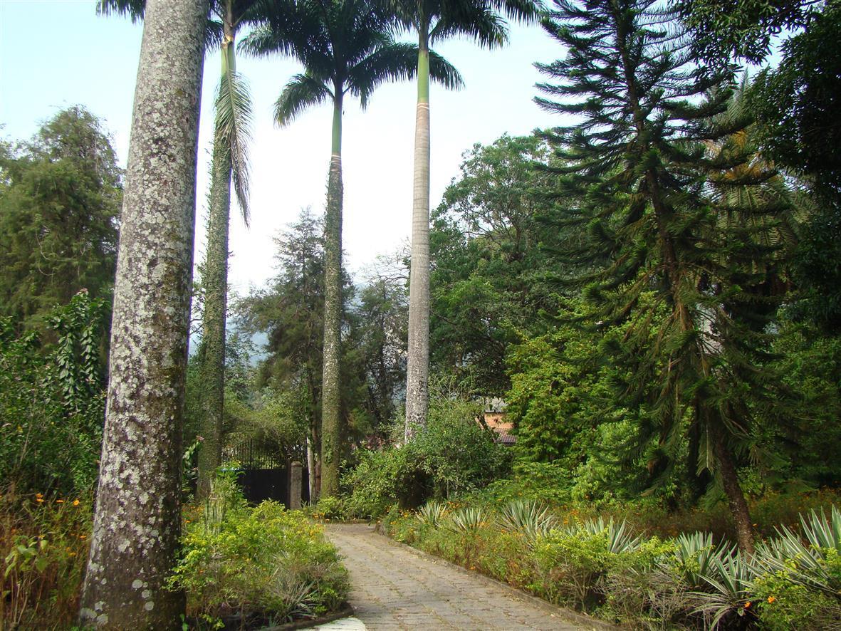Casa De Campo Dos Sonhos Bed & Breakfast Cachoeiras de Macacu Dış mekan fotoğraf